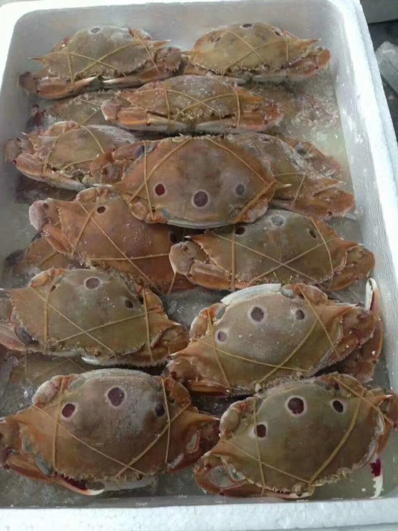欢迎大家咨询