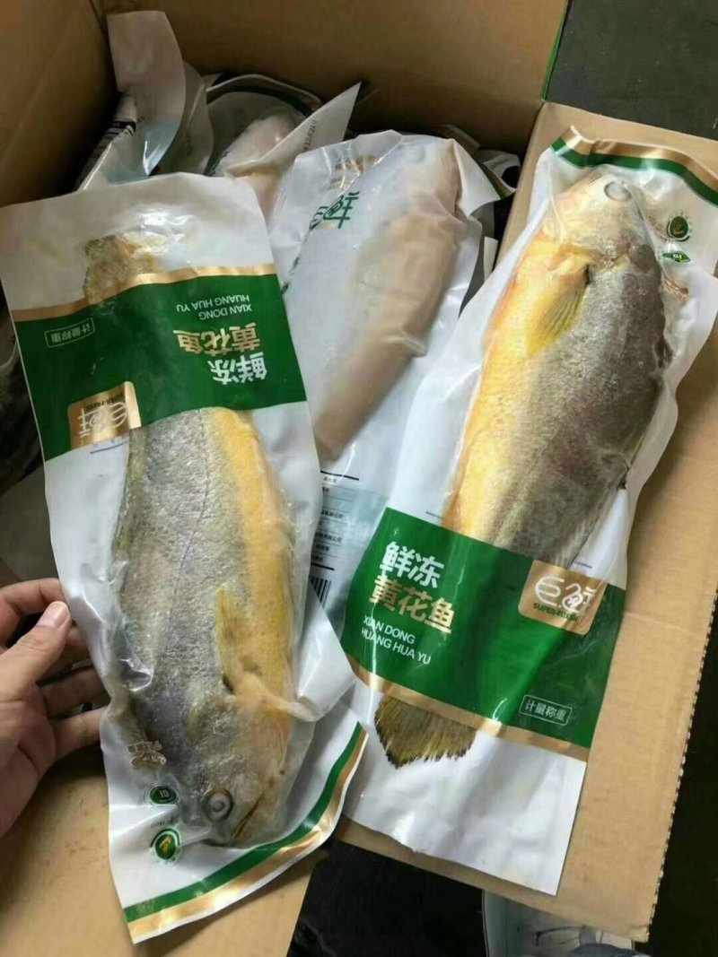 欢迎大家咨询