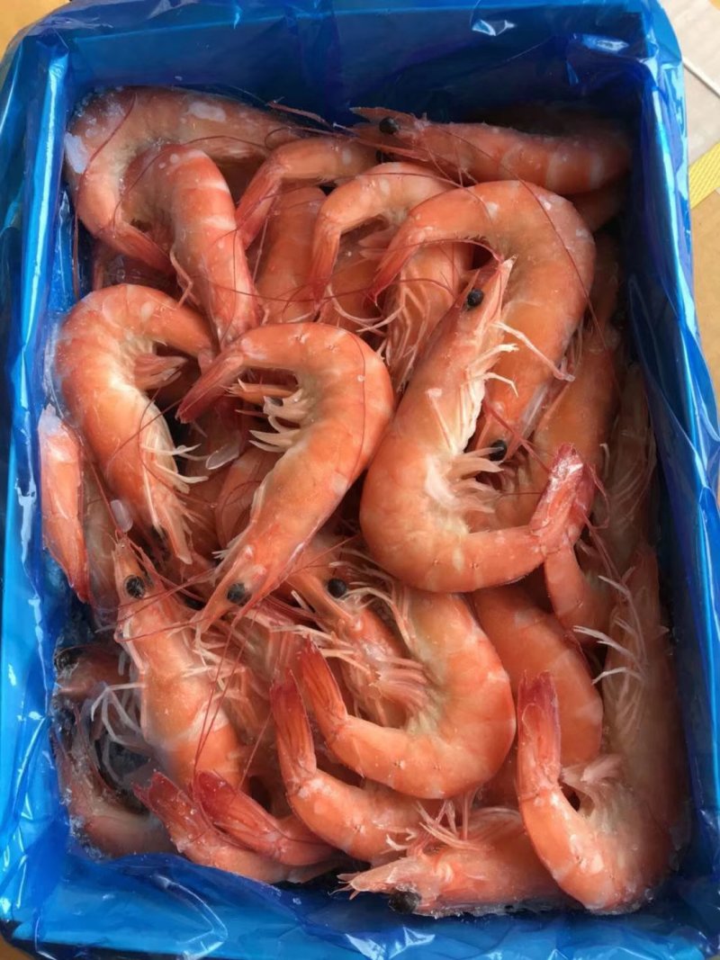 欢迎大家咨询