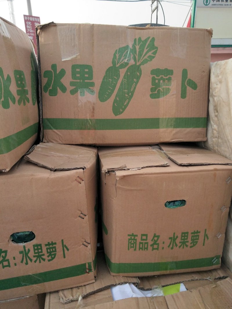 水果萝卜杂交品种口感很好