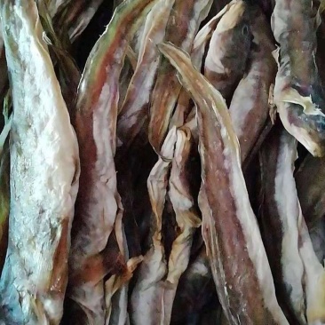 海鲶鱼干
