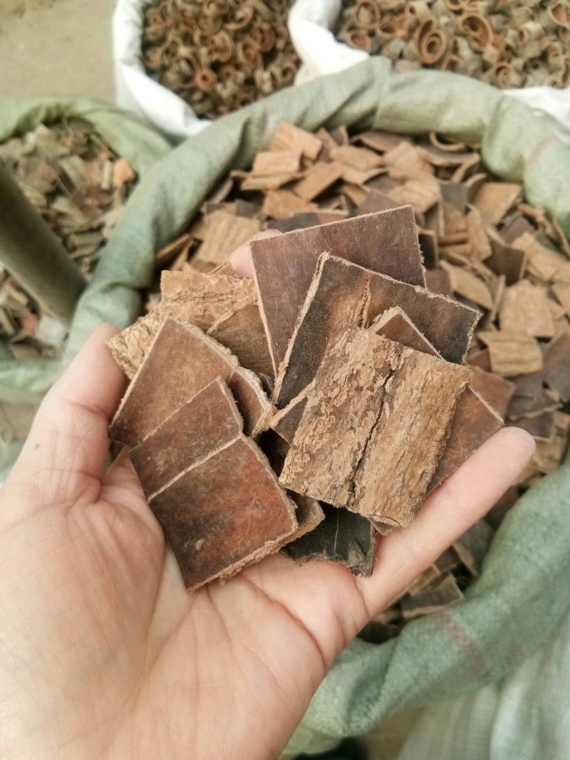 杜仲无硫干货方块选货厚皮质量放心一公斤起发货