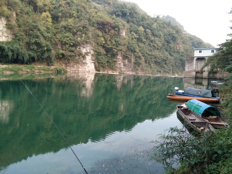 野生翘嘴，大白鱼，要3斤或者5斤起步都可以