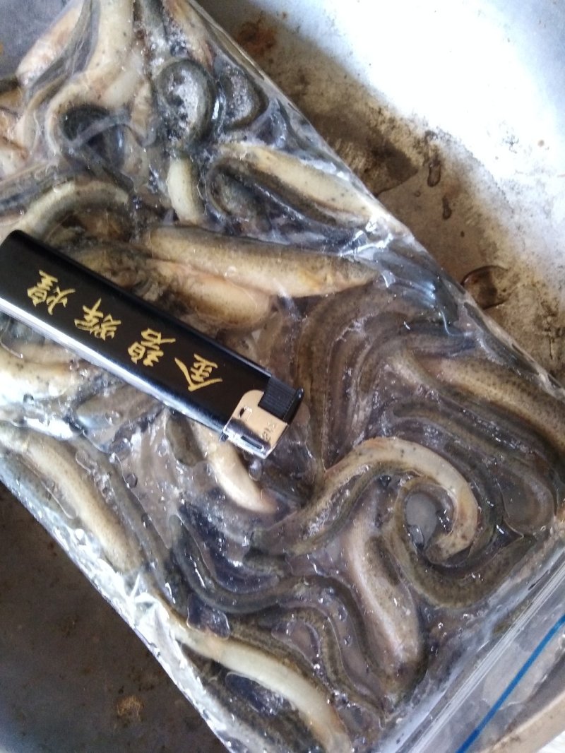 活冻泥湫鱼