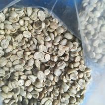 咖啡豆（次品豆）~生豆原料提供产地检测报告