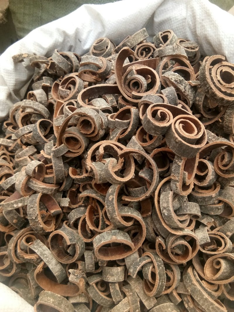 厚朴湖南无硫熏规格齐全姜厚朴一公斤起