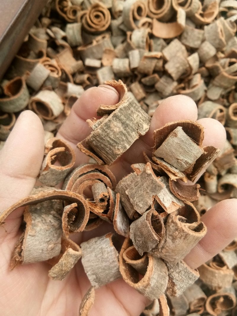 厚朴湖南无硫熏规格齐全姜厚朴一公斤起