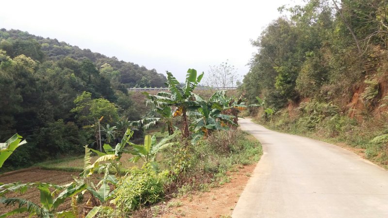 田地