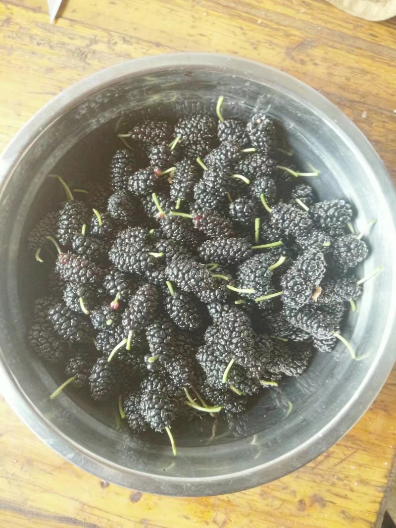 攀枝花花桑葚干，
