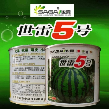 世雷5号高产特抗病西瓜种子特大地雷京欣中晚熟正品