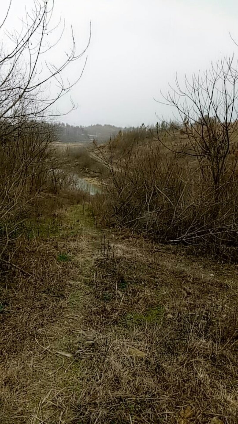 寻找合作，有荒山千亩，以可以出租