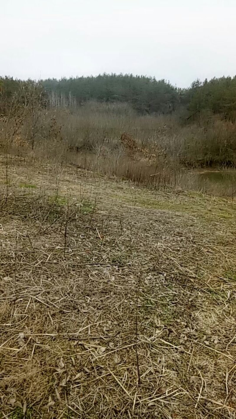 寻找合作，有荒山千亩，以可以出租