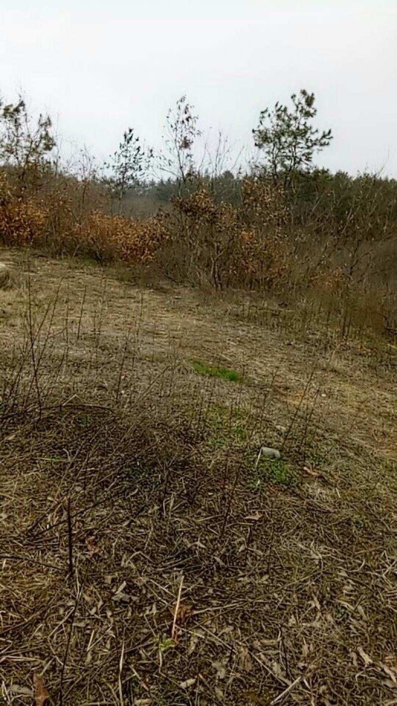 寻找合作，有荒山千亩，以可以出租