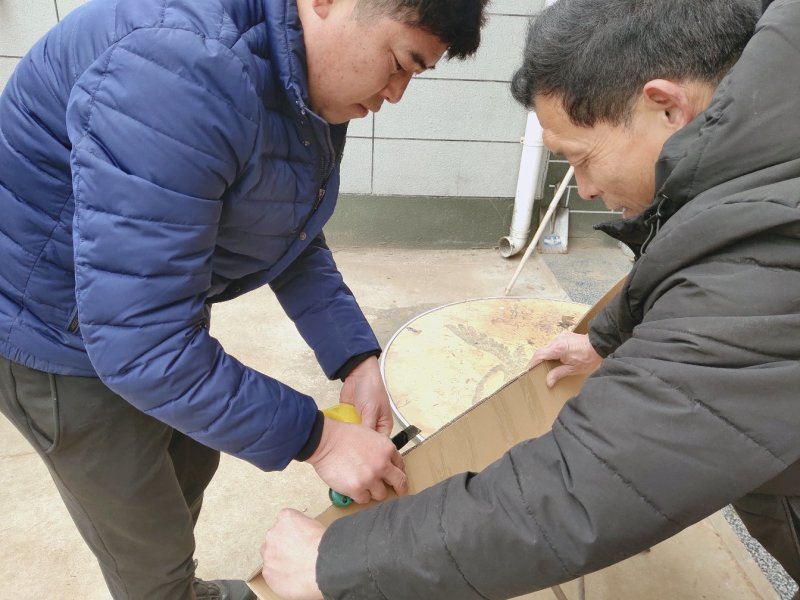 紫藤树苗道路别墅小区绿化用苗可以视频看货选货！