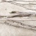 红玉兰苗道路小区别墅绿化用苗可视频看货选货！