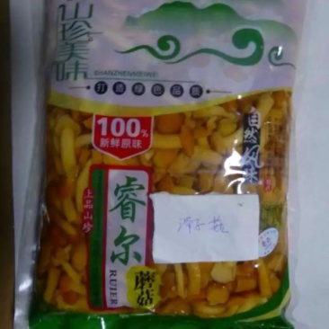 天津蓟县睿尔清水原味蘑菇山野菜