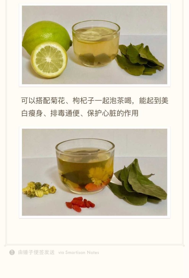 神秘果叶
