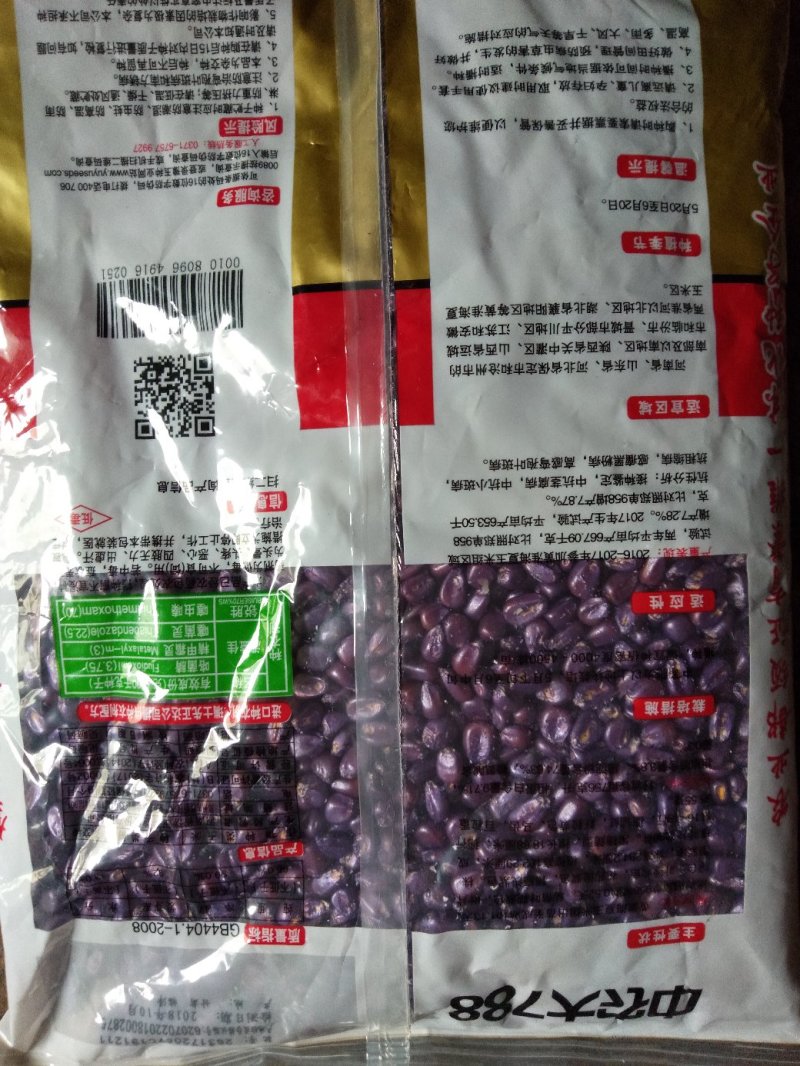 玉米种秋乐368/2017年国审品种