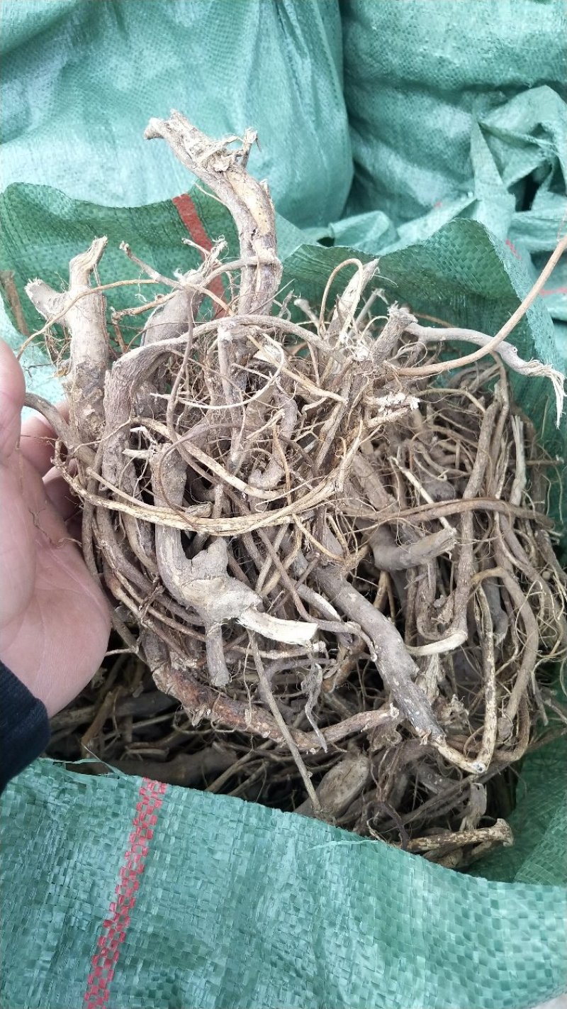 五指毛桃干货
