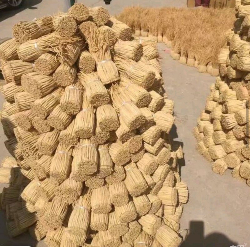 党参把子，甘肃产地批发零售，货源充足