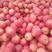 红富士苹果万亩果园保质保量全国发货