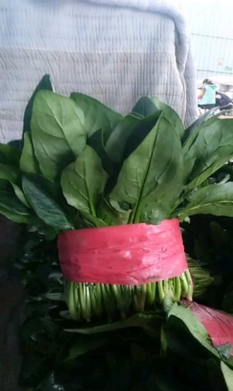 菠菜