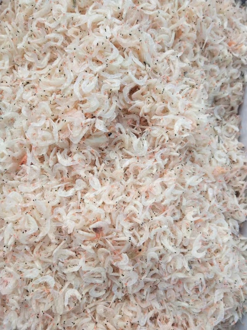 无盐虾皮，可视频看货，产地直供