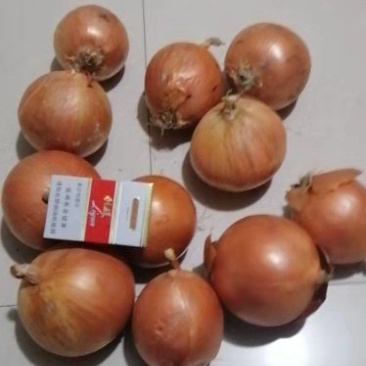 大量出售圆葱