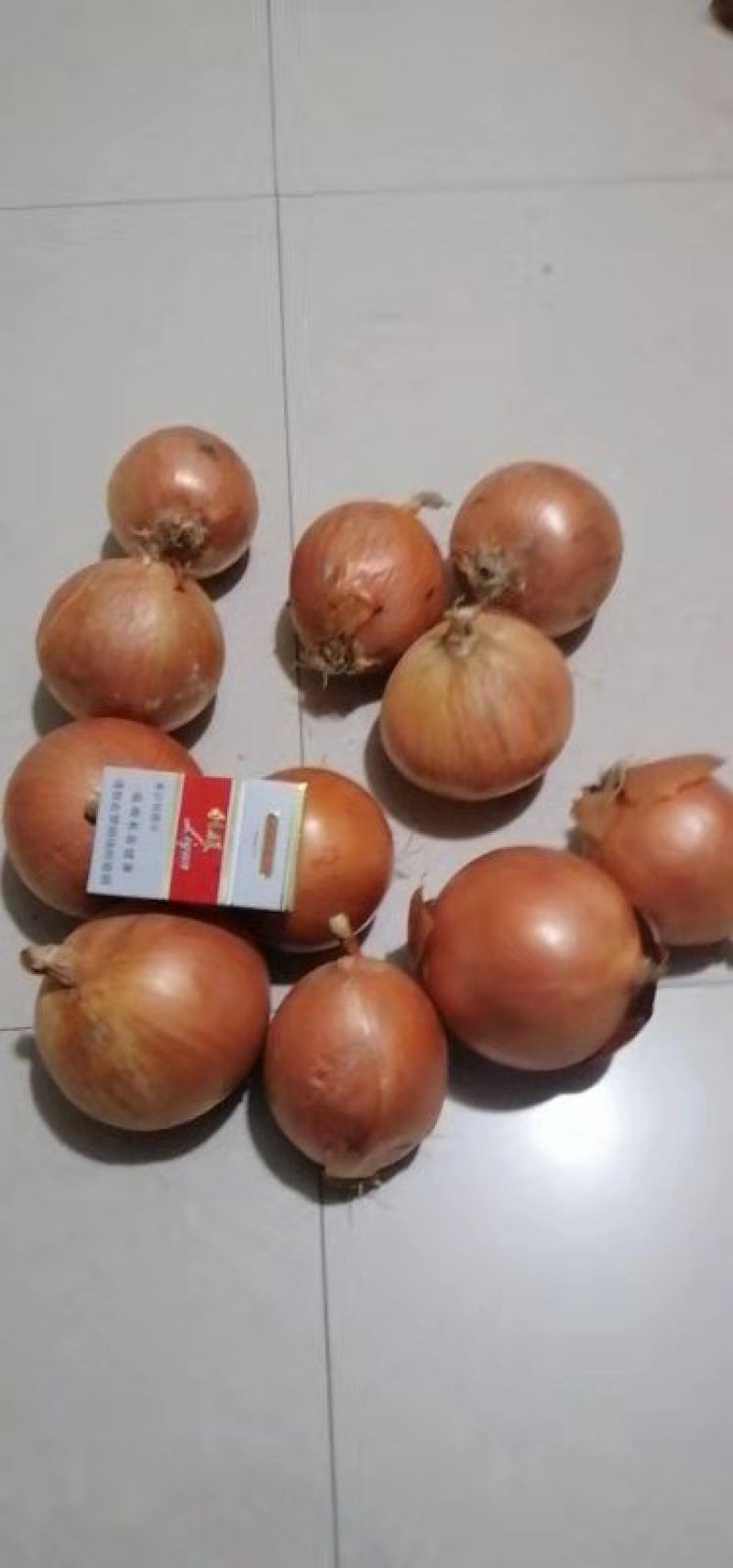 大量出售圆葱