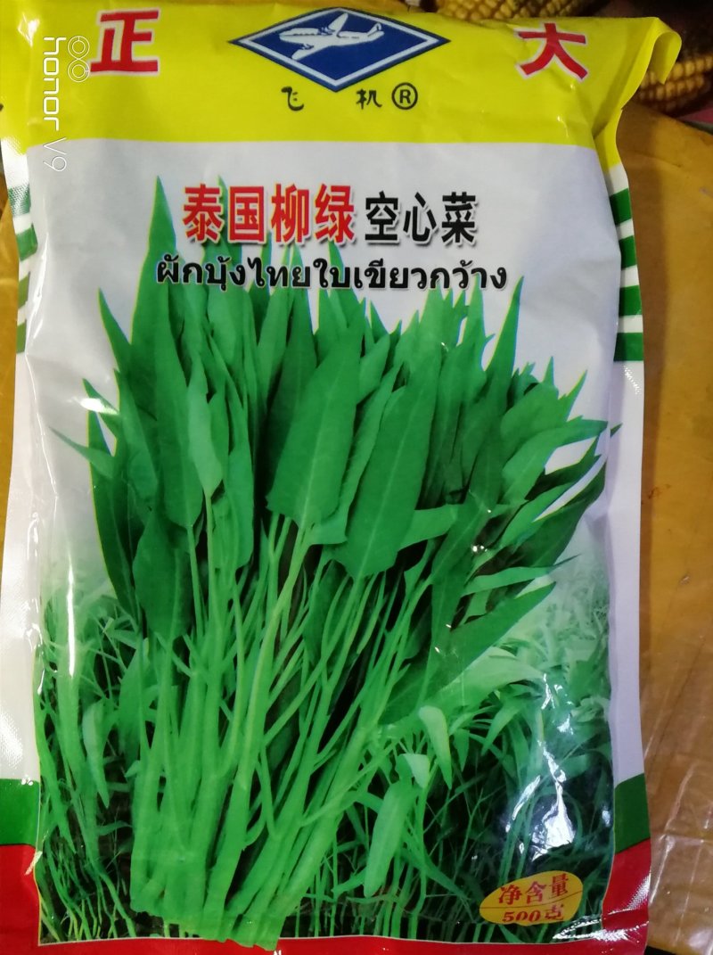 柳绿空心菜种子500克一袋抗病性强，耐旱高产
