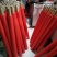 pvc30米绑枝机胶带西红柿黄瓜葡萄绑枝带