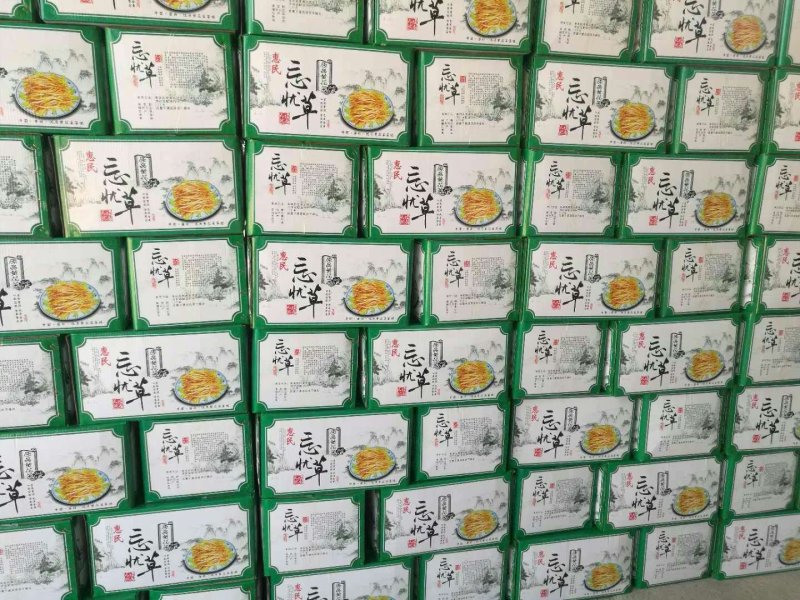 陕西黄花菜种苗成活率高抗病强，质保好品种，包回收上地指导