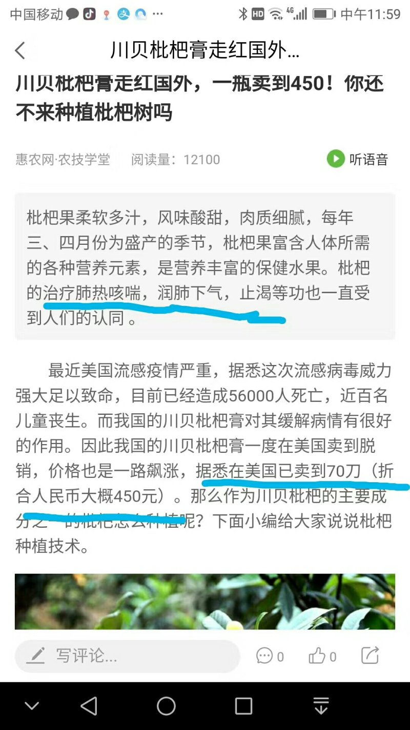 枇杷膏