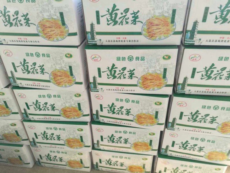 优质黄花菜种苗，出干鲜精品级干货，包回收上门指导