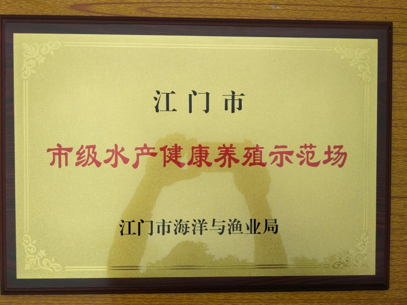 基地直供山溪水养殖六年喂鱼螺老黄沙鳖除边远地区全国包邮