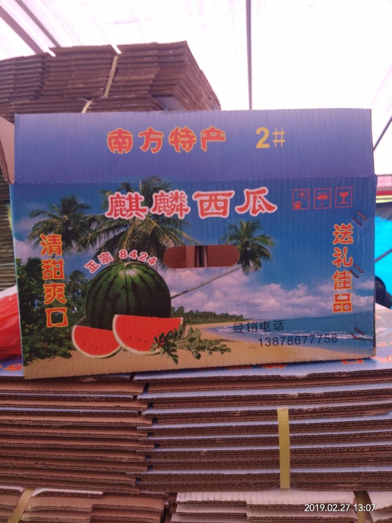 广东阳江上洋【甜王】西瓜