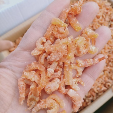 草虾米
