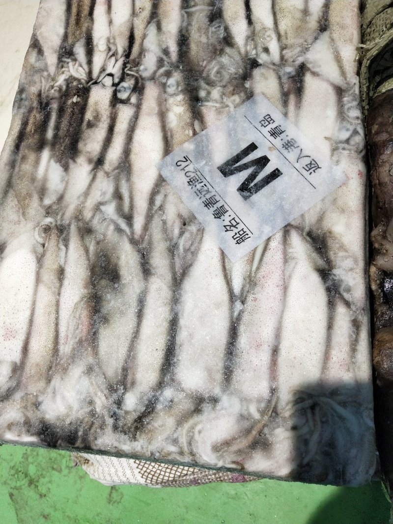 阿根廷笔管