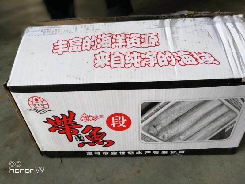 带鱼段