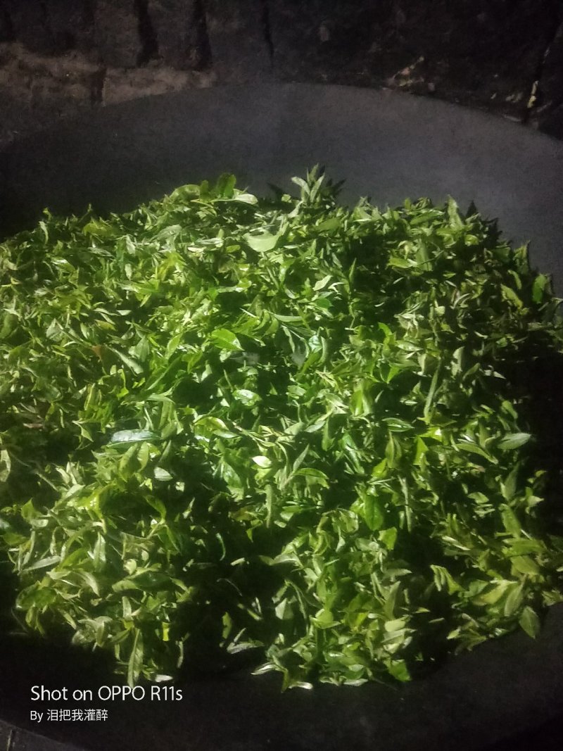 绿茶