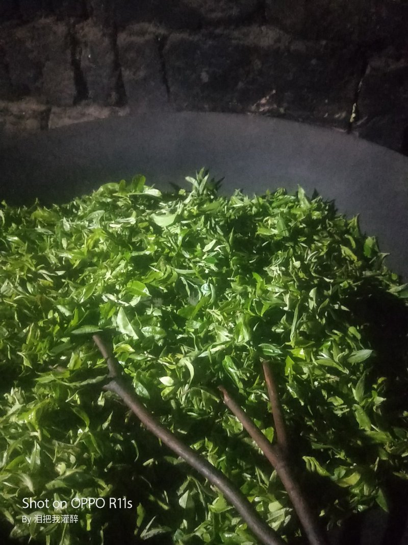 绿茶