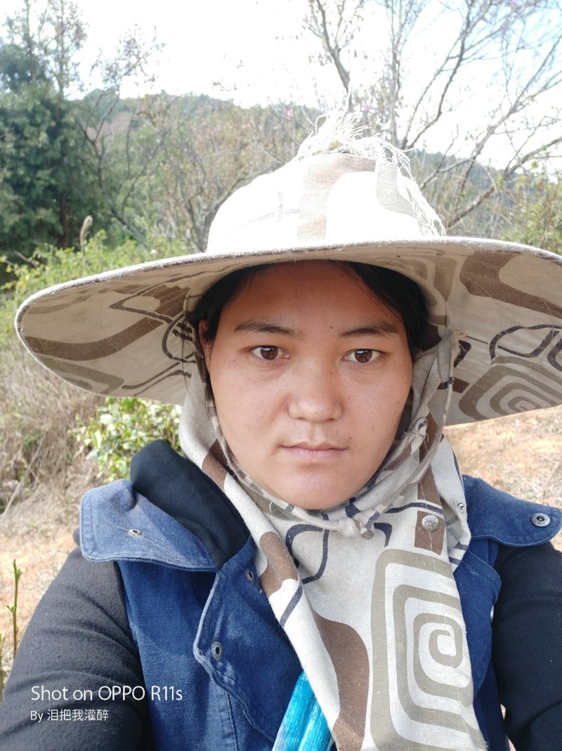 绿茶