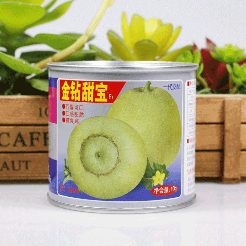 甜宝梨瓜种籽金钻甜宝香瓜种子薄皮甜瓜梨瓜种子极早熟产量高