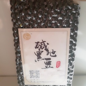 碱地黑豆