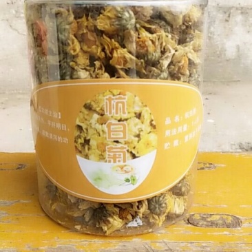 杭白菊