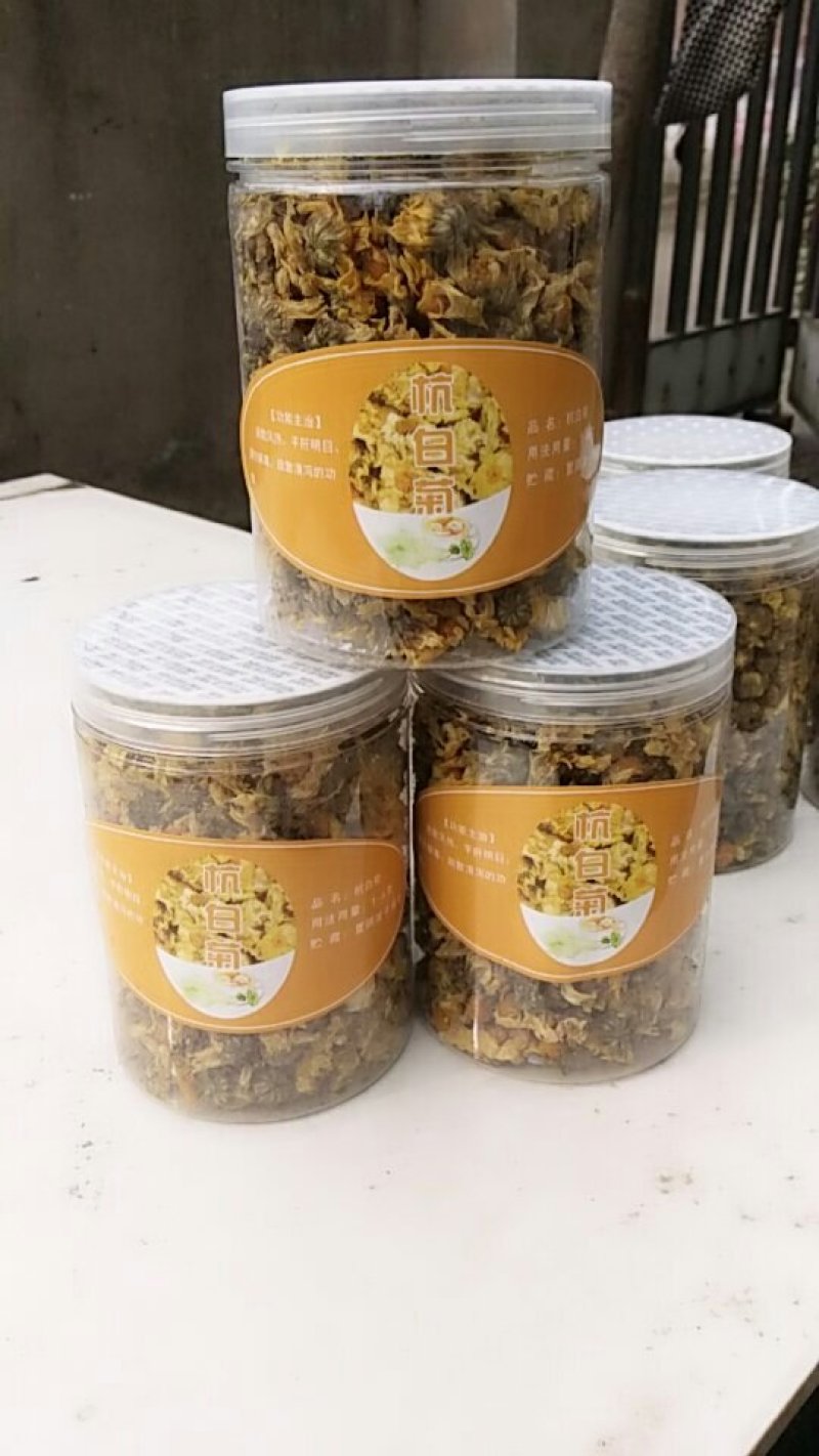 杭白菊