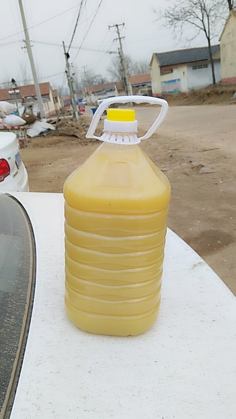 农户自榨纯花生油纯花生加工的压榨油，农户自产