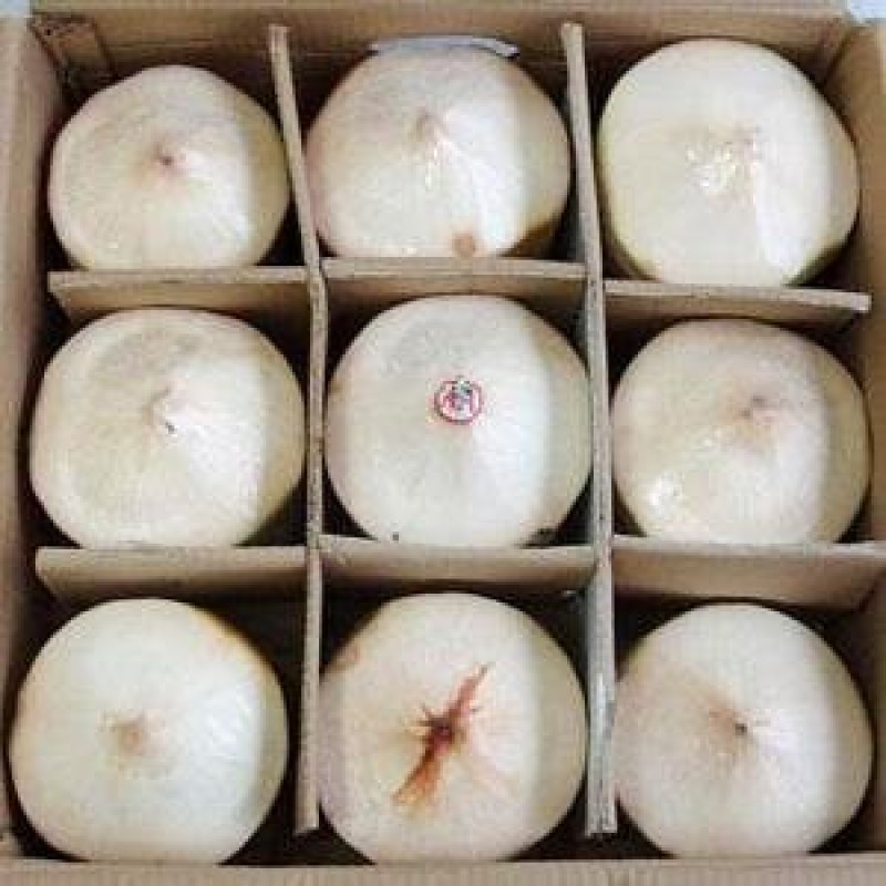 海南椰青9个68元