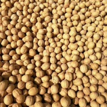 阿克苏薄皮核桃