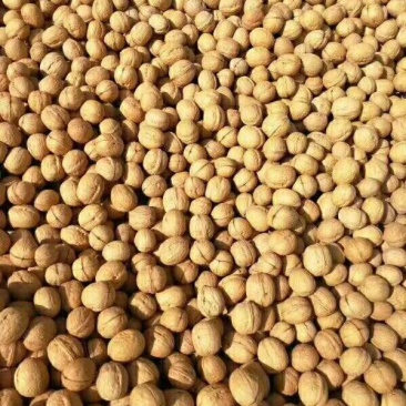 阿克苏薄皮核桃